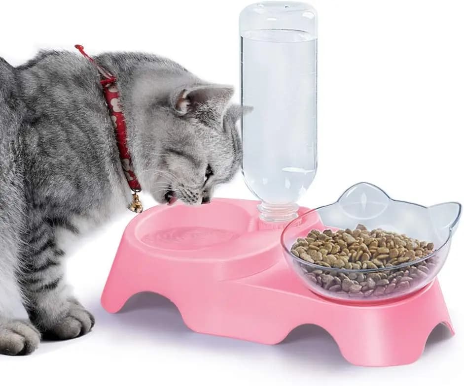 Ciotole Doppie per Cani e Gatti - 15 ° Set Inclinato per Acqua e Cibo con Bottiglia Abbeveratoio Automatica per Animali Domestici di Piccola e Media Taglia