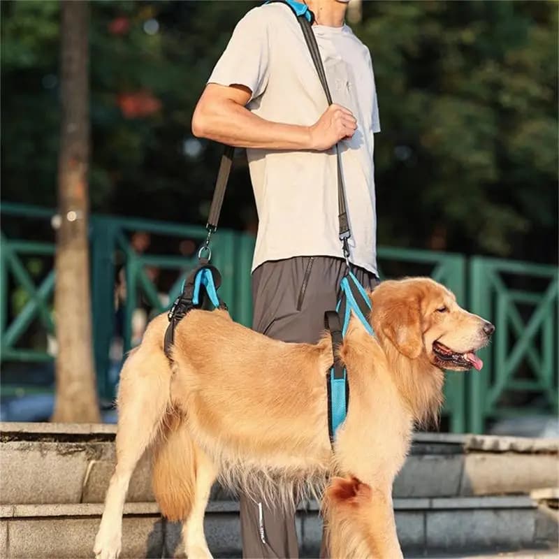 Elderly Dog Walking Harness Ergonomic Handle Balance Assistance Strap for Breeds