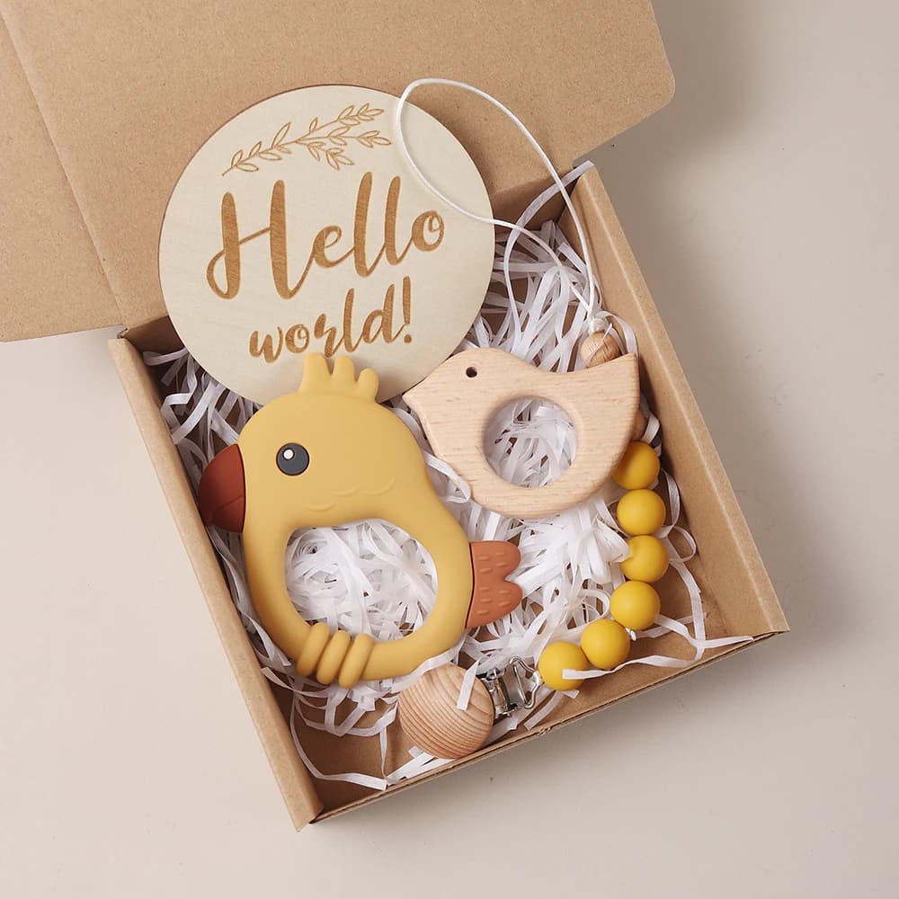 Set di cofanetti regalo da 4 pezzi e set di pietre miliari per bambini Kit di oggetti di scena per servizio fotografico per bambini Ciondolo per massaggiagengive in silicone a forma di uccello in legno