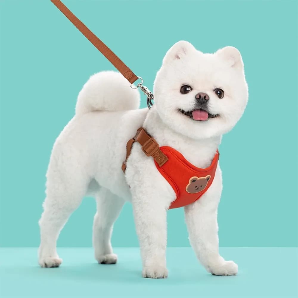 Pettorina Creativa e Carina per Animali Domestici, Anti-Fuga, Senza Strappi, per Gatti e Cani, Regolabile, Accessori per Animali