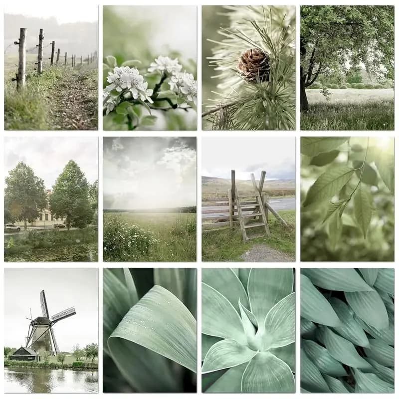 PhotoCustom Diy Paint By Numbers For Adults Plants Countryside Forest Coloring On Numbers Unique Gift Handmade Artwork On Can