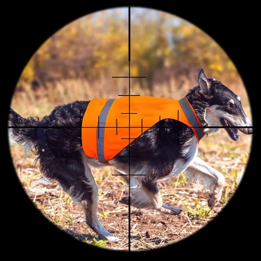 Blaze Orange Gilet da caccia per cani Equipaggiamento di sicurezza riflettente Camicia per cani arancione per cani all'aperto o passeggiate notturne