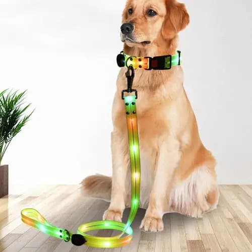 Collare e Guinzaglio LED Ricaricabile per Cani, Impermeabile, Luminoso al Buio, in Nylon Riflettente, Attrezzatura Luminosa per Passeggiate