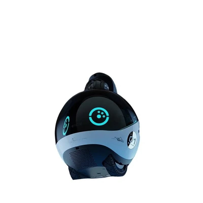 Webcam for remote monitoring of the intelligent robot companion for elderly with family guard