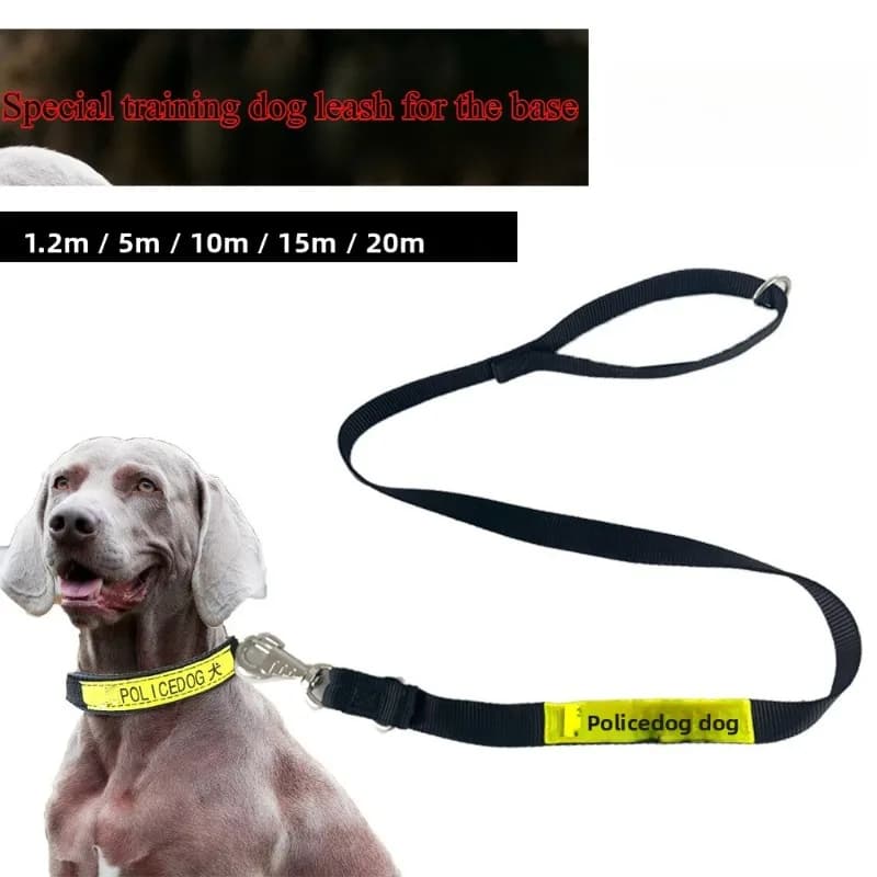 base da allenamento speciale corda di tracciamento collare per cani da lavoro cane P catena a prova di esplosione guinzaglio guinzaglio corda da passeggio per cani di grandi dimensioni
