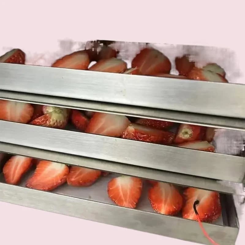 Liofilizzatore Nuova tecnologia di liofilizzazione Macchina per liofilizzazione sottovuoto per frutta secca secca e trocchette di verdure