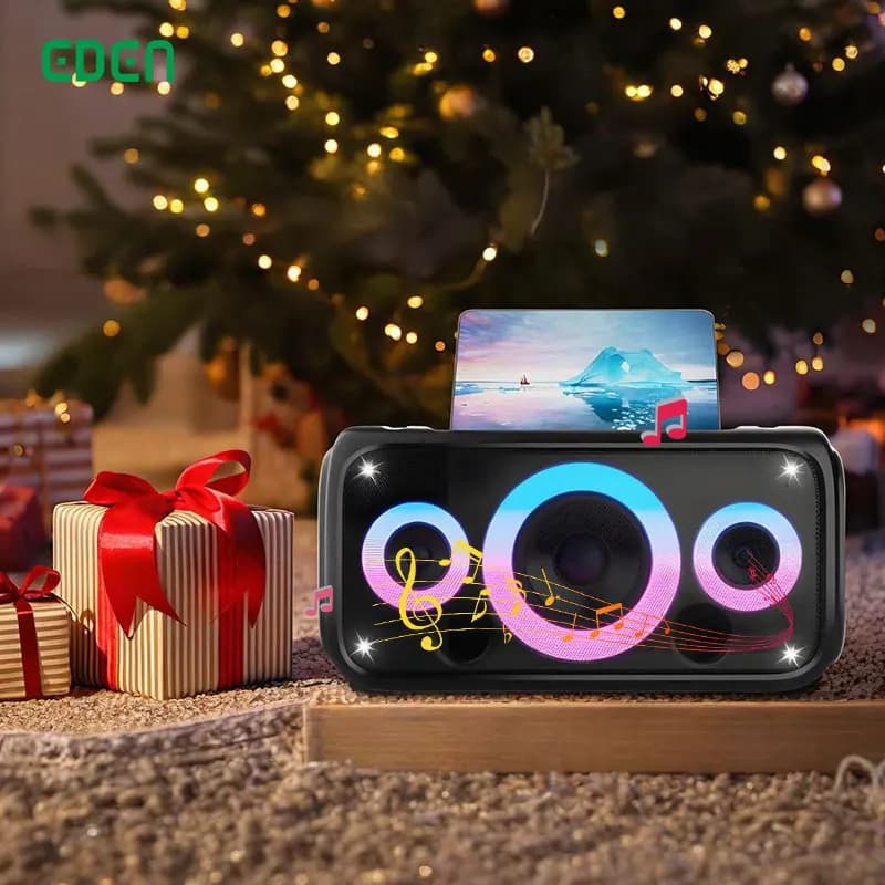 Nuovo design Sistema per lettore karaoke Macchina per altoparlanti Hifi professionale Sistema per lettore karaoke Altoparlante per karaoke con microfono e Bluetooth