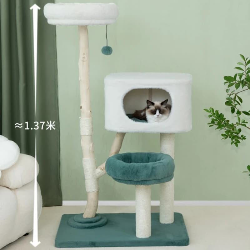 Cuccia a Forma di Casa per Gatti, Letto Multifunzionale, Arredamento per Soggiorno, Giocattoli per Gatti, Mobili in SISAL, Scala per Gatti MH40MZ