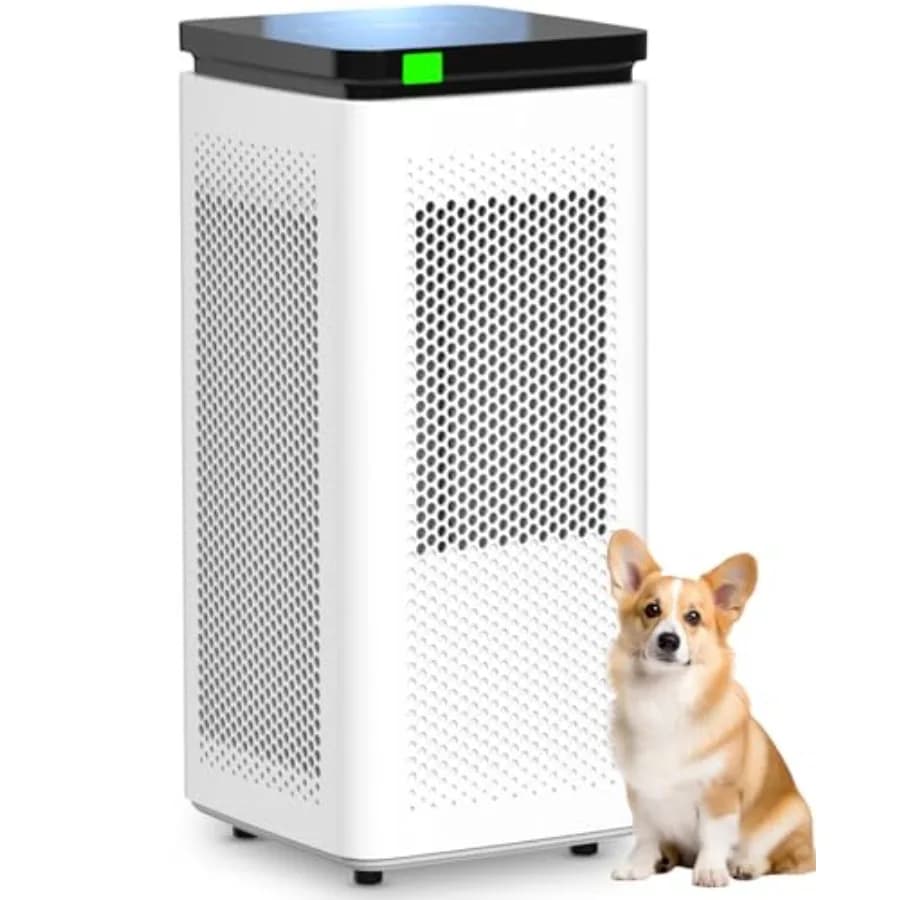 Purificatore d'aria domestico per ambienti di grandi dimensioni fino a 3500 piedi, filtro HEPA H13 + carbone attivo, bianco, filtrazione da 99,97 a 0,1 micron, 2