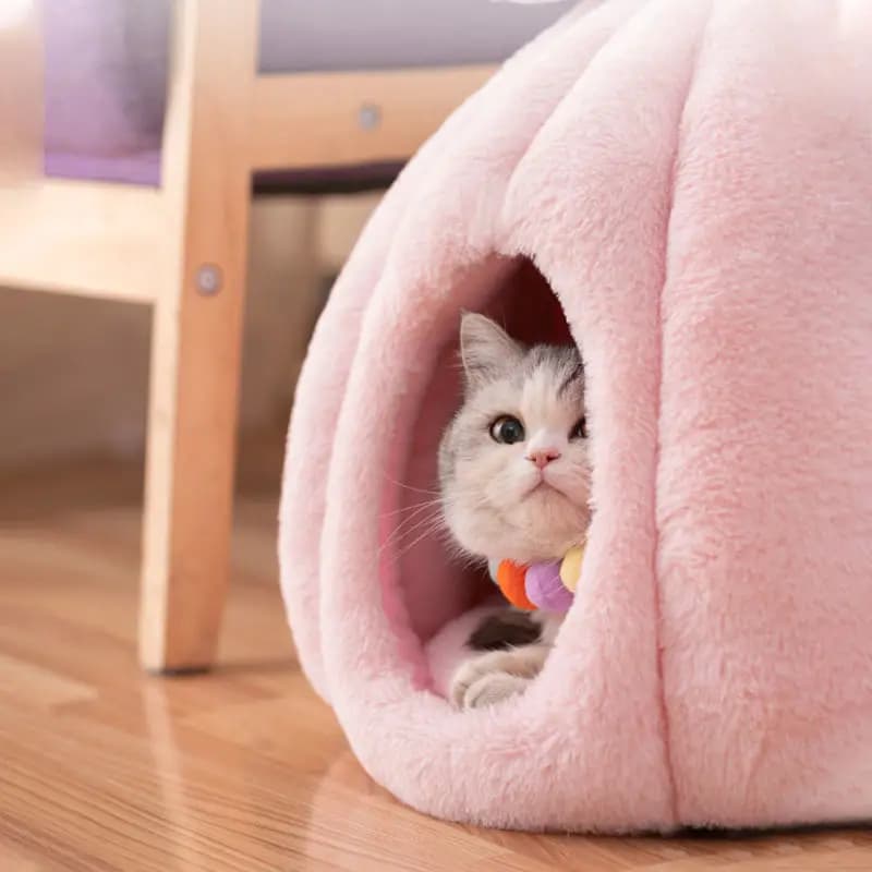 Pumpkin Shaped Cat Kennel Warm Kawaii Cat Mat Pet Bed House Yurt Push Cat Carpet Dog Cushion Removable Washable Nest Cat Blanket