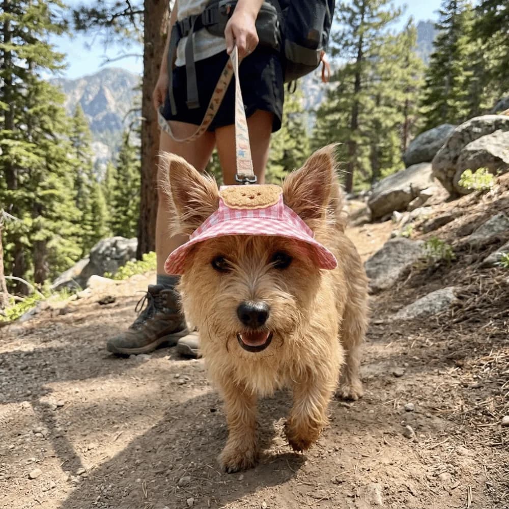 Cartoon Pattern Dog Fisherman Hat Adjustable Plaid Print Cat Sunscreen Hat Breathable with Ears Hole Dog Sunshade Hats Outdoor