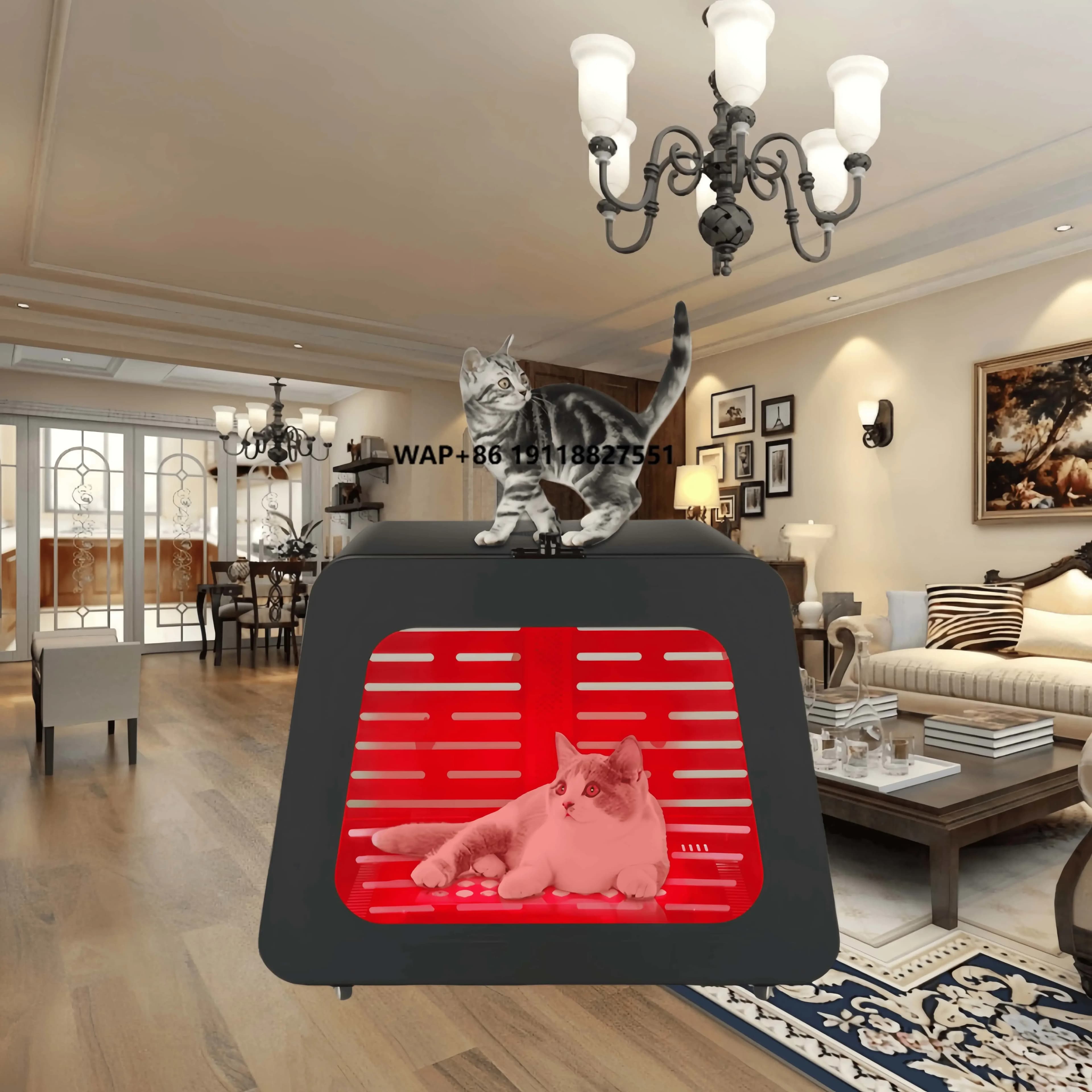 Cuccia per Cani e Gatti Azure PDT a Infrarossi per la Salute, OEM ODM, con Terapia a Luce Rossa e Tappetini Traspiranti per Animali Domestici
