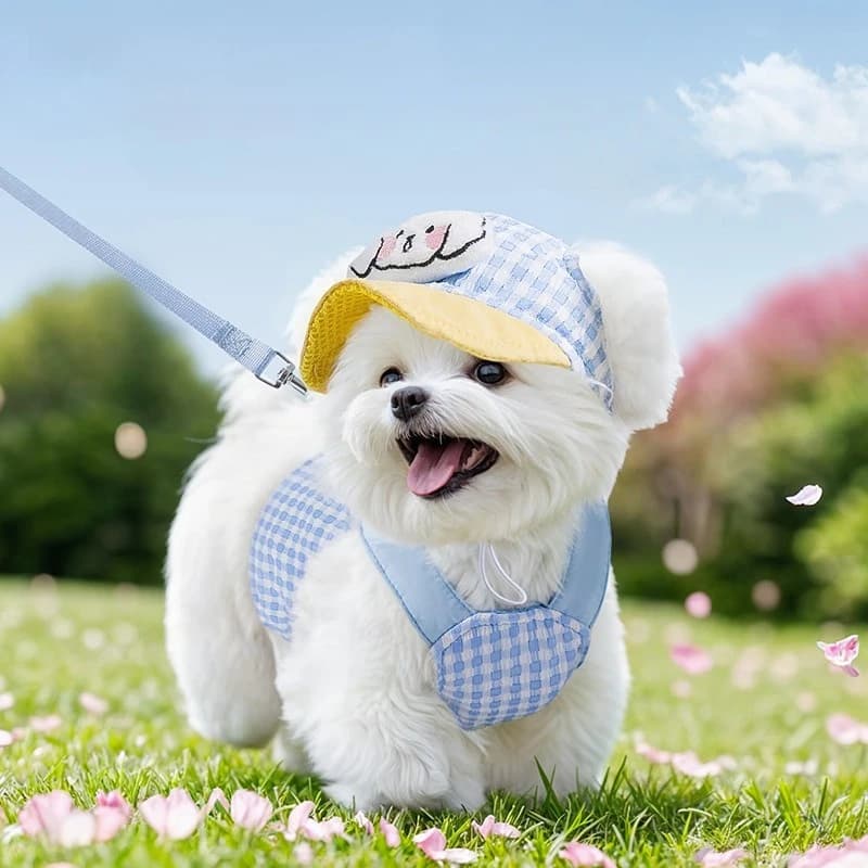 Cappello per Cani e Gatti, Cappello Parasole Primaverile/Estivo, Gilet con Cinturino sul Petto, Set Pettorina e Guinzaglio per Cani, Accessori per Cuccioli