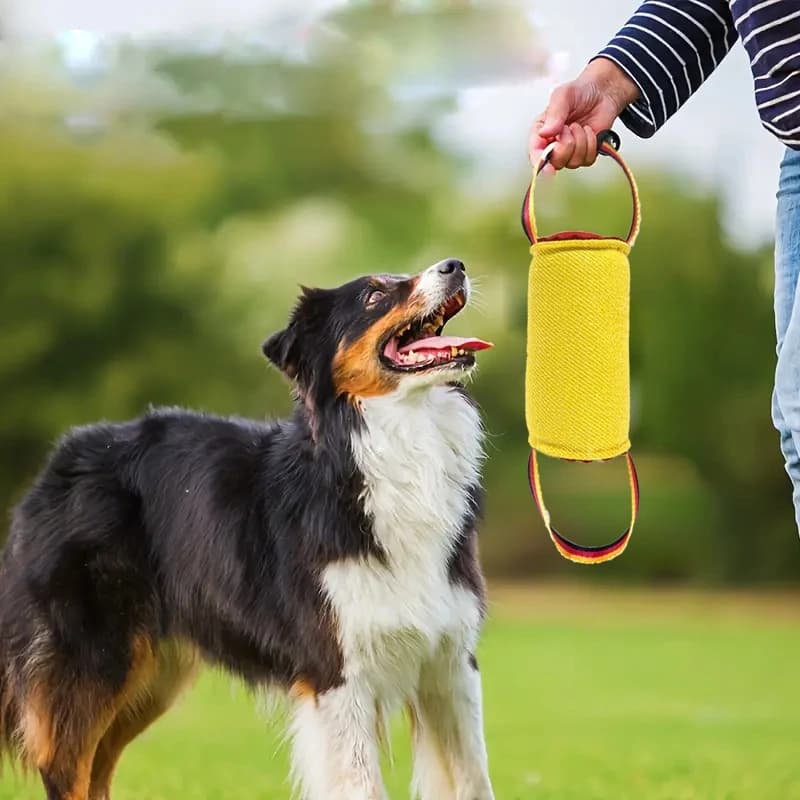 Giocattolo per rimorchiatore per addestramento di cani durevole, resistente ai morsi, disco volante interattivo per esterni, cuscino da masticare per animali domestici, giocattolo per rimorchiare per cuccioli e cani