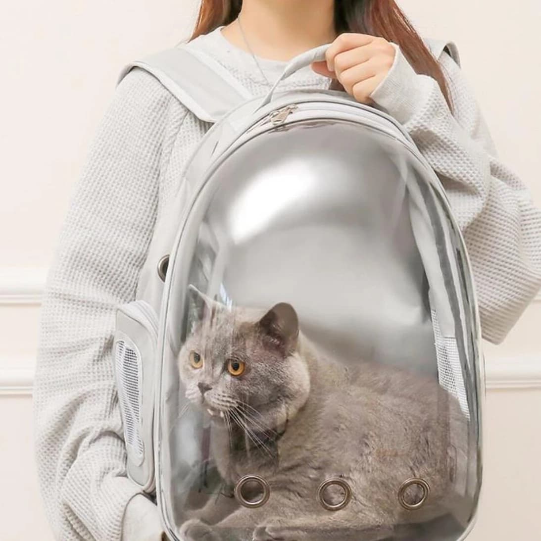 Breathable Space Capsule Cat Backpack, Large‑Capacity Portable Pet Travel Carrier, Double‑Shoulder Bag for Outdoor Walking