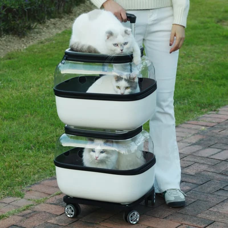 Trolley per gatti da esterno a doppio strato Ruote Carrier Passeggini per gatti trasparenti 2 gatti Forniture per animali traspiranti economiche portatili