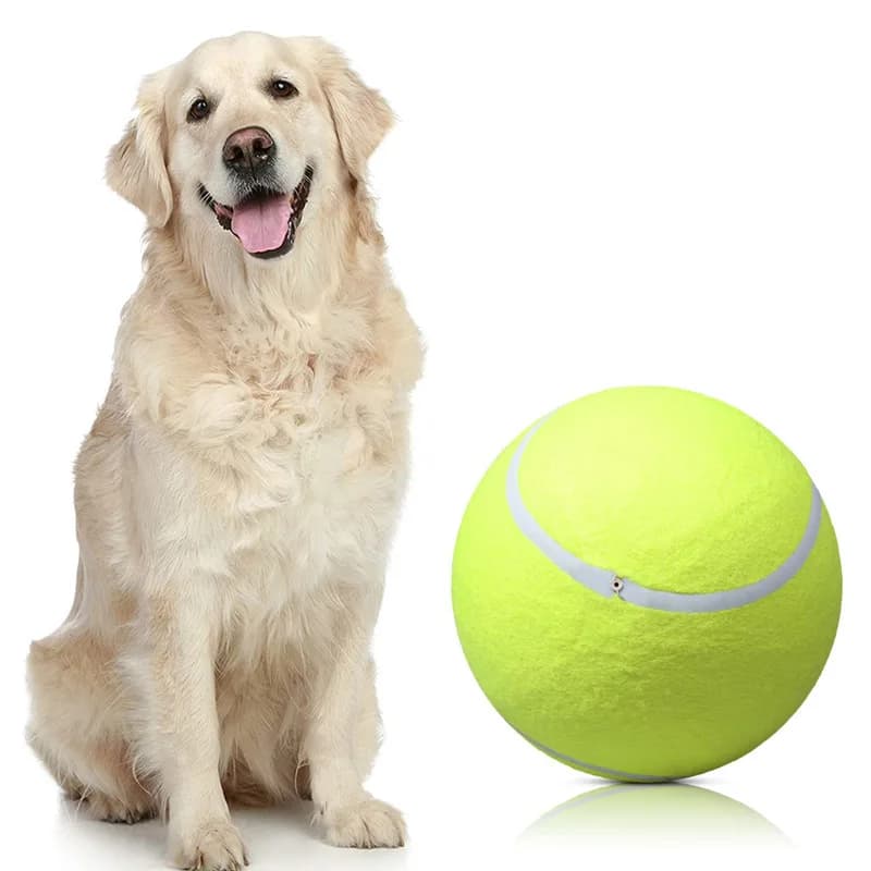 Pallina da Tennis gigante da 24CM per cane giocattolo da masticare giocattoli interattivi per cani da compagnia grande palla da Tennis gonfiabile forniture per animali domestici giocattolo per cani da Cricket all'aperto