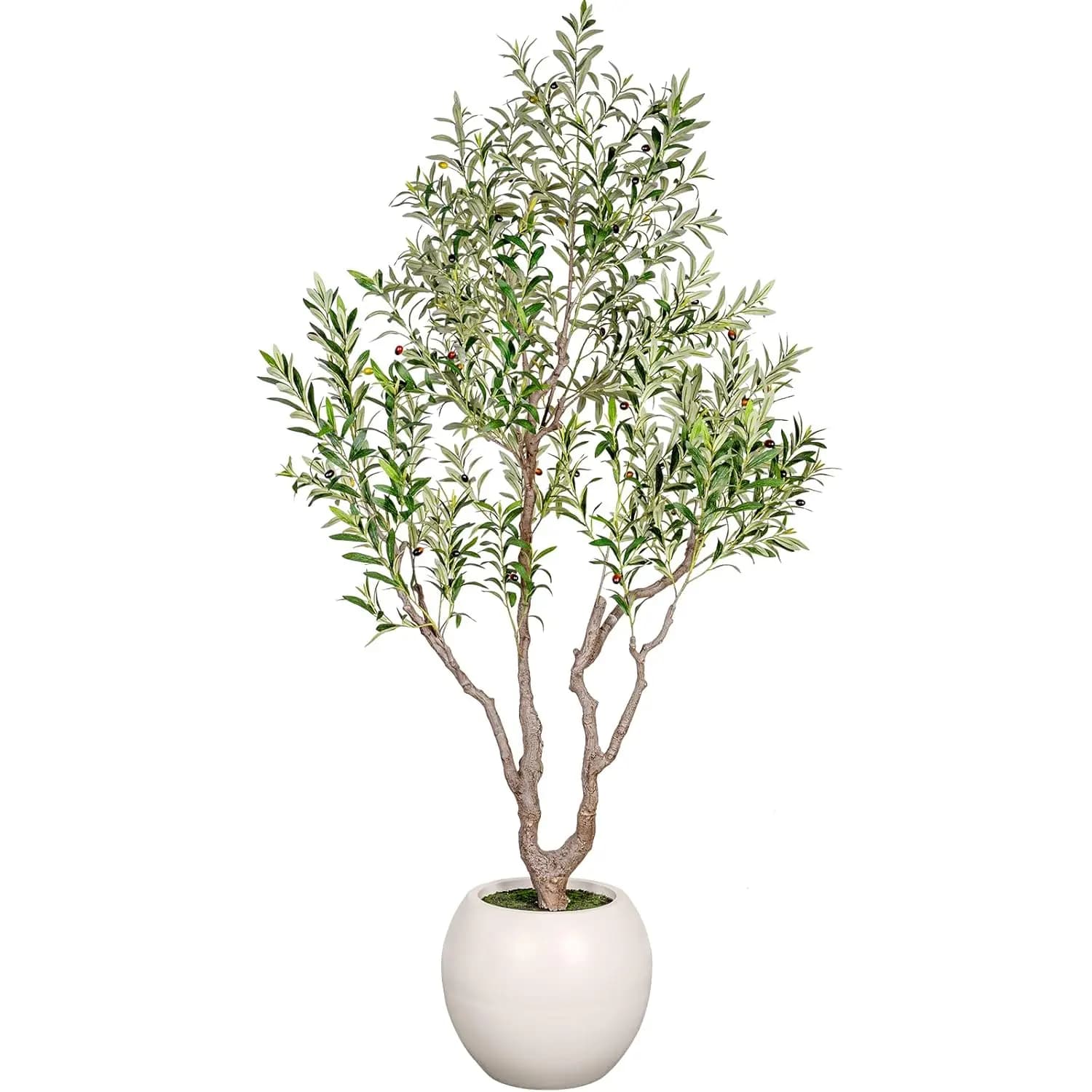 Albero di Ulivo Artificiale da 2,4 m per Interni, Pianta Finta con Tronco in Legno Naturale, Frutti Realistici, Vaso da 40 cm, Decorazione per Casa e Ufficio, Personalizzabile