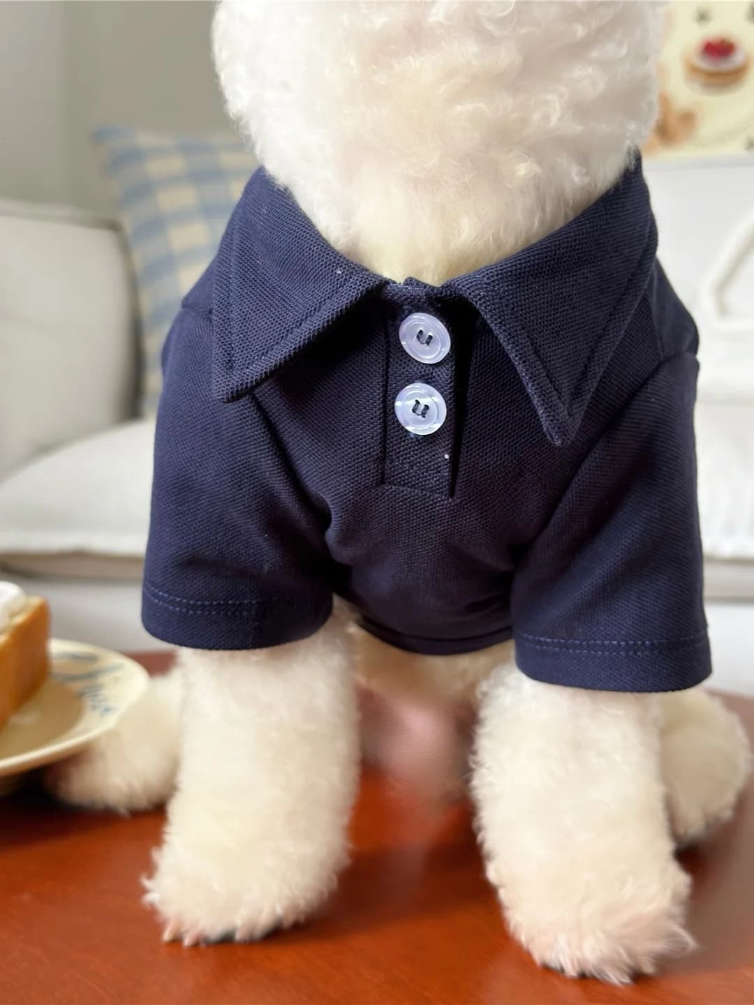 Camicia Ricamata per Cani con Colletto Rovesciato, Traspirante, per Cani di Piccola Taglia, Primavera Autunno