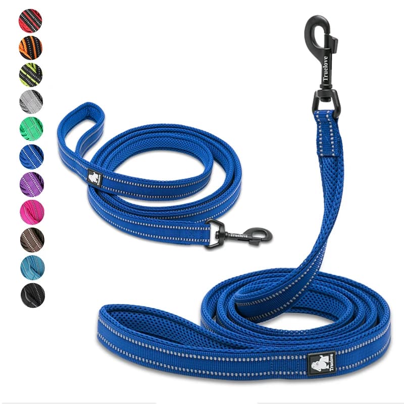 Guinzaglio per cani in nylon Winhyepet con comoda impugnatura imbottita Guinzaglio per animali durevole per addestramento resistente per cani di taglia piccola, media e grande
