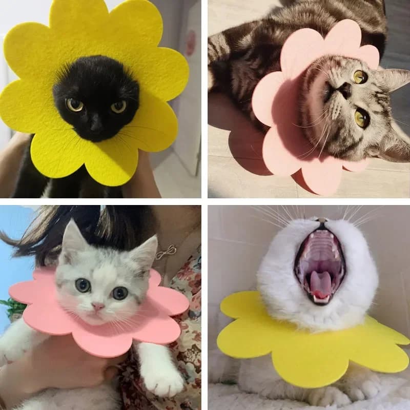 Collare Elizabeth per animali domestici leggero e sottile, anti-morso, manica di recupero, panno in feltro, collare per cani, accessori per la guarigione delle ferite di gatto
