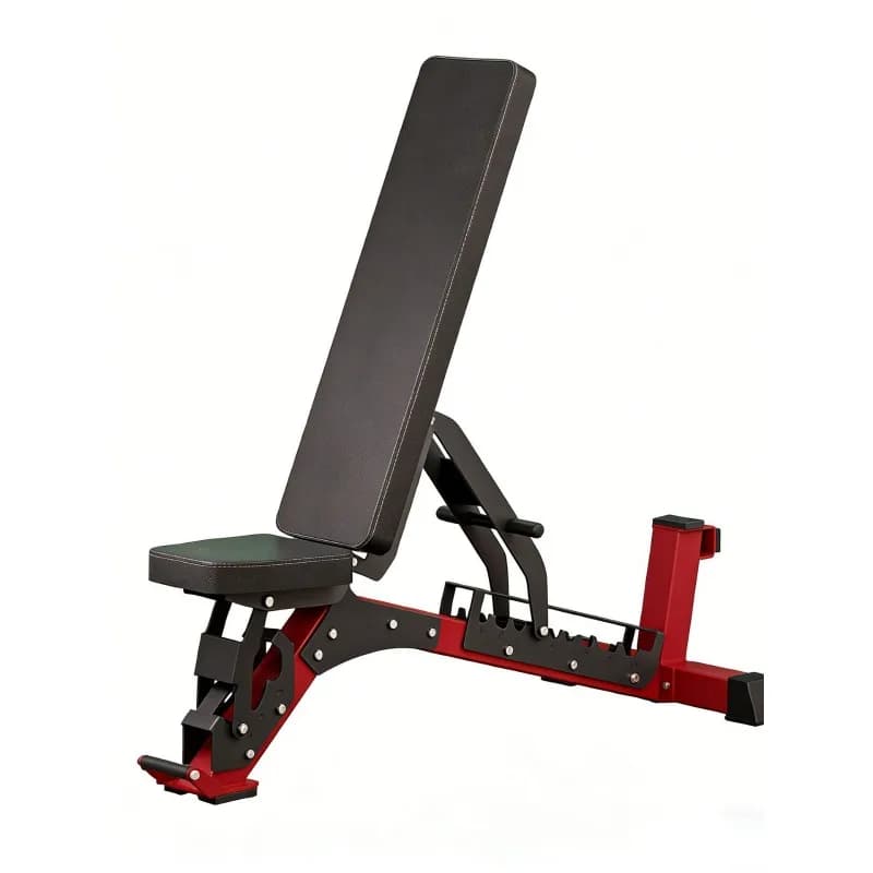 Weightlift bench with Manubri, Multifunctional and Adjustable, Bestseller for Training