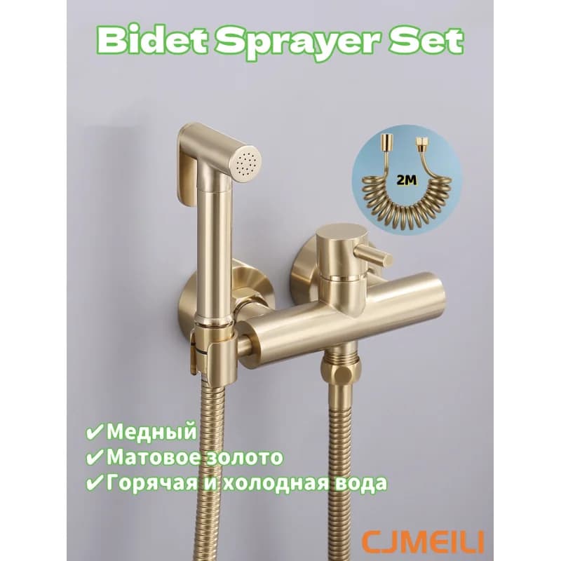 Hygienic shower for bidet sprayer toilet with brass mixer set, wall-mounted,Brushed gold