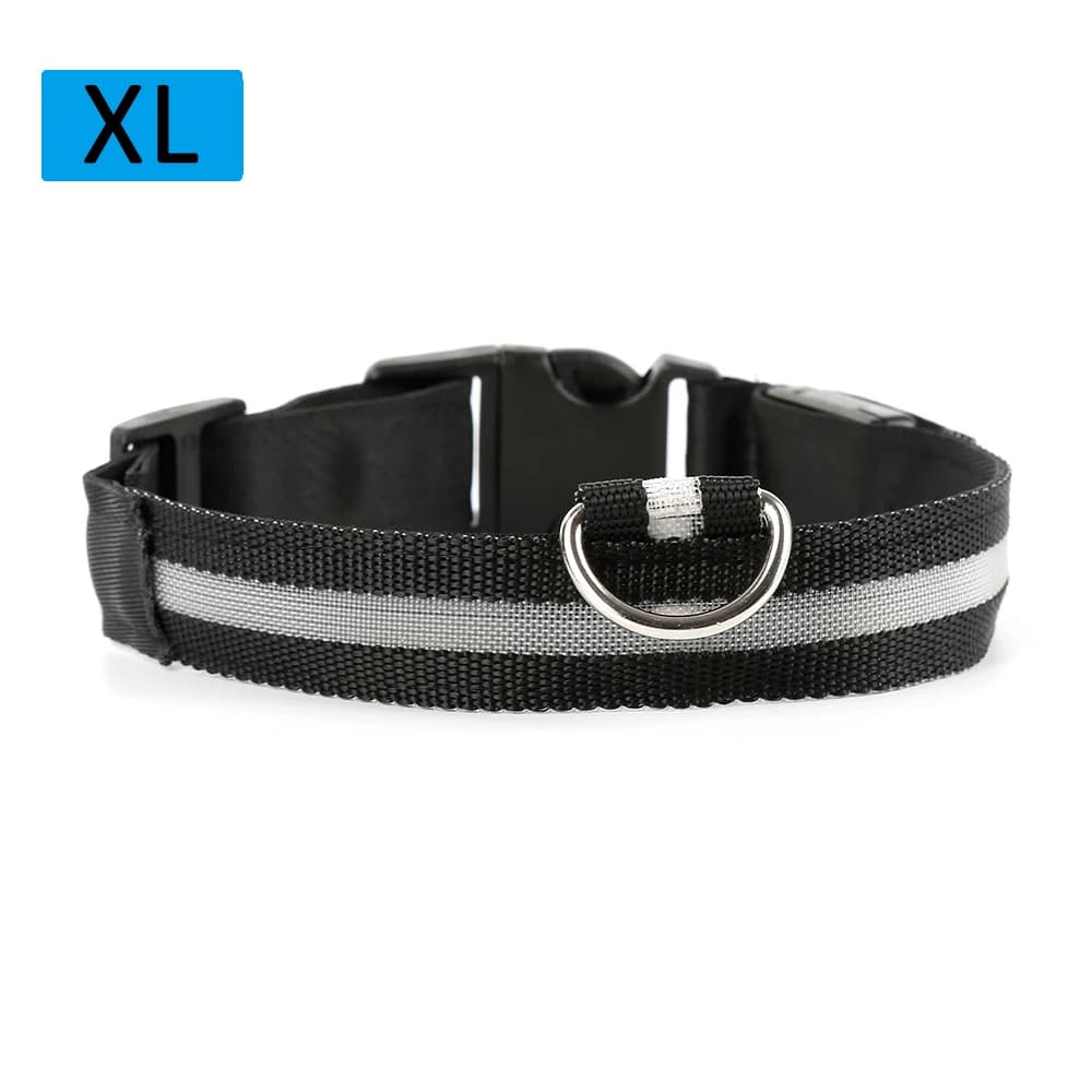 Collare per cani in nylon USB ricaricabile LED di sicurezza illuminato Collare per animali domestici a LED Cintura per animali domestici Cintura lampeggiante per cani di piccola taglia