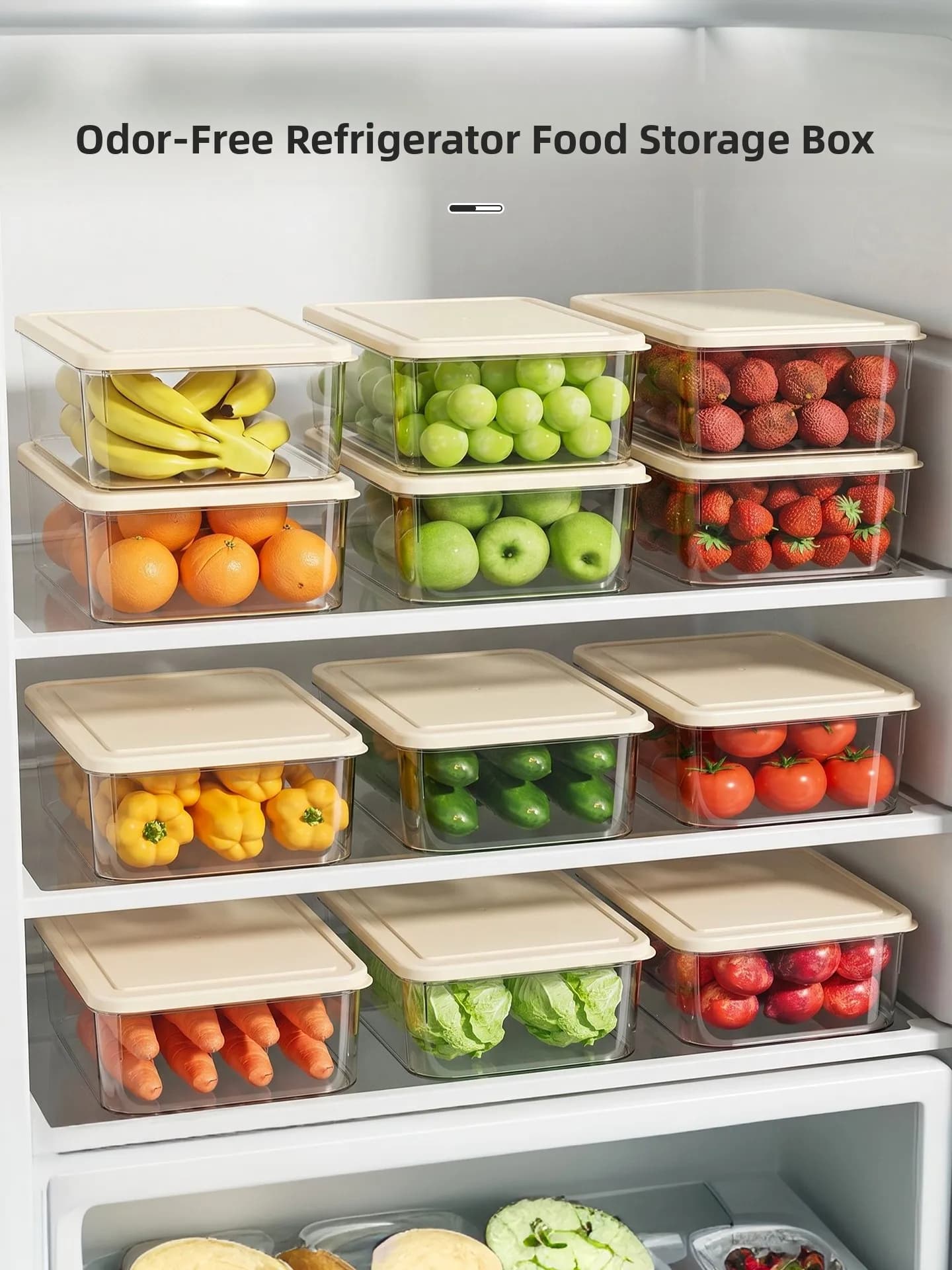 Contenitore Sigillato per Alimenti di Grado Alimentare per Frigorifero e Congelatore, per Conservazione e Organizzazione Domestica