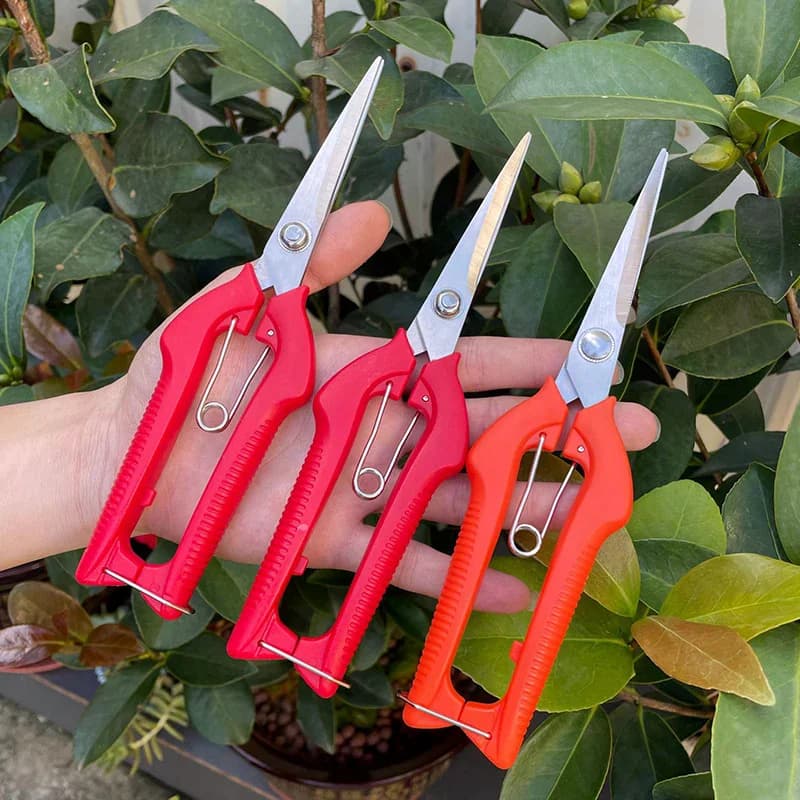 Holes for pruning branches, stainless steel, non-slip handle, sharp garden tools, pruning of fruit trees, very sharp