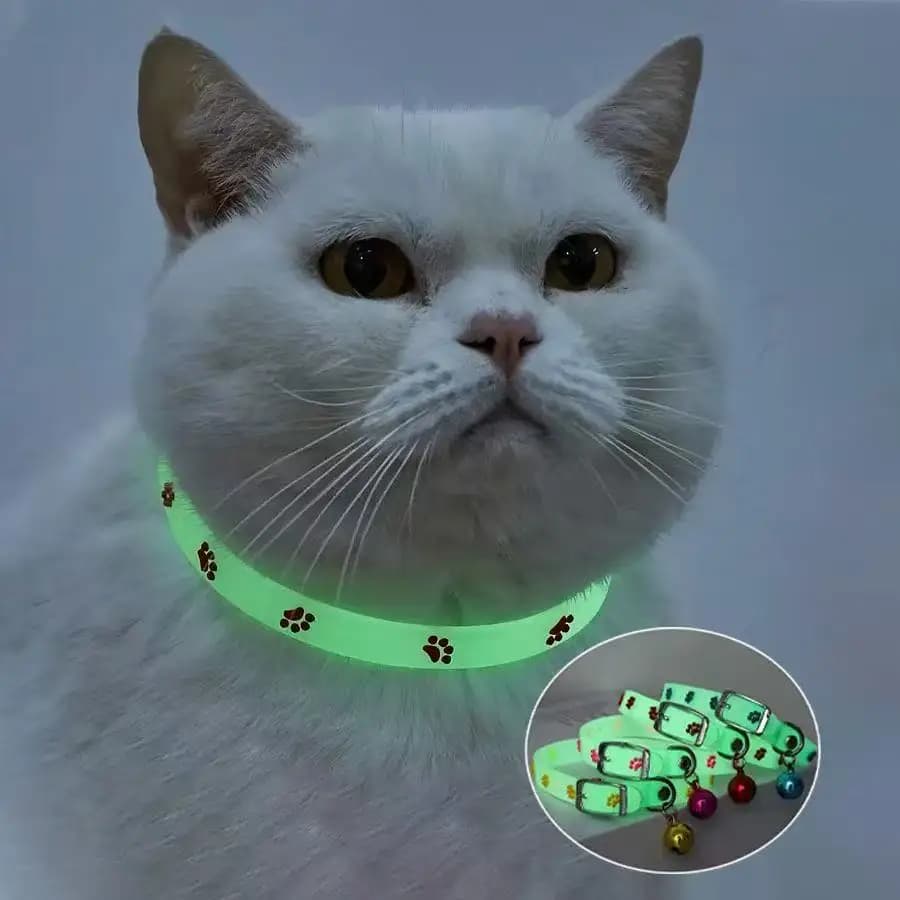 Collare a campana con luce notturna per gatti, anti-perdita per gite notturne, collare per cani regolabile, carino, luminoso e fluorescente.