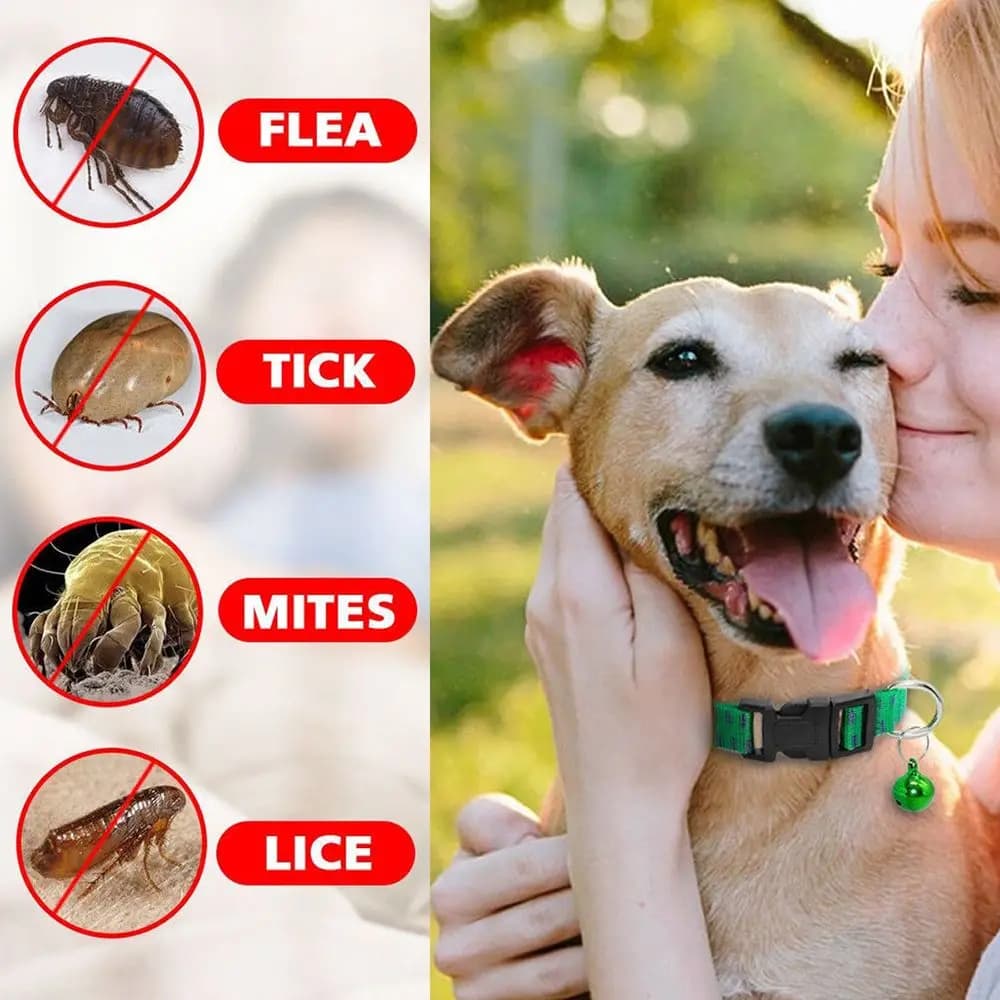 Nylon efficace uccidere insetti zanzare collare per cani da esterno tracolla per animali domestici anti pulci acari zecche