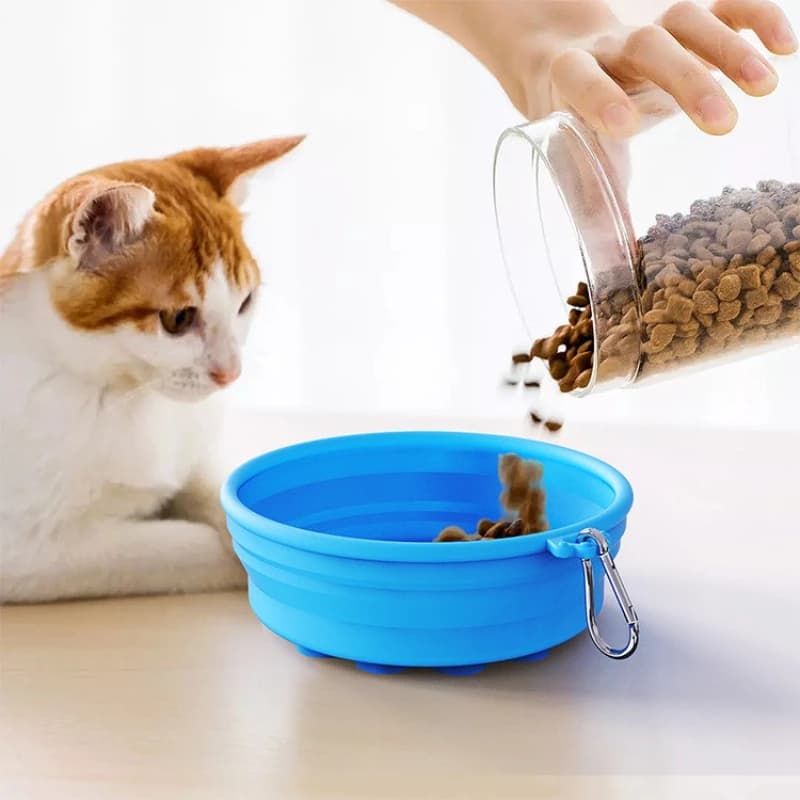 Ciotola portatile in silicone per animali domestici - Piatto da viaggio pieghevole per cibo e acqua per cani/gatti, elementi essenziali per l'alimentazione all'aperto