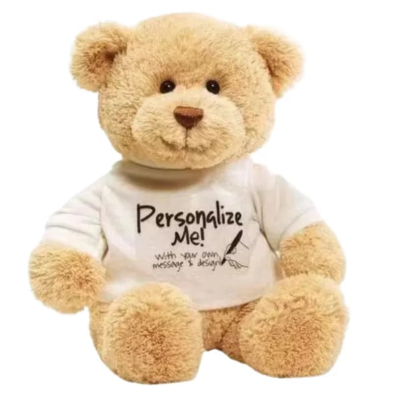 Teddy Bear DIY Bear with White Blank Tshirt, 11'
