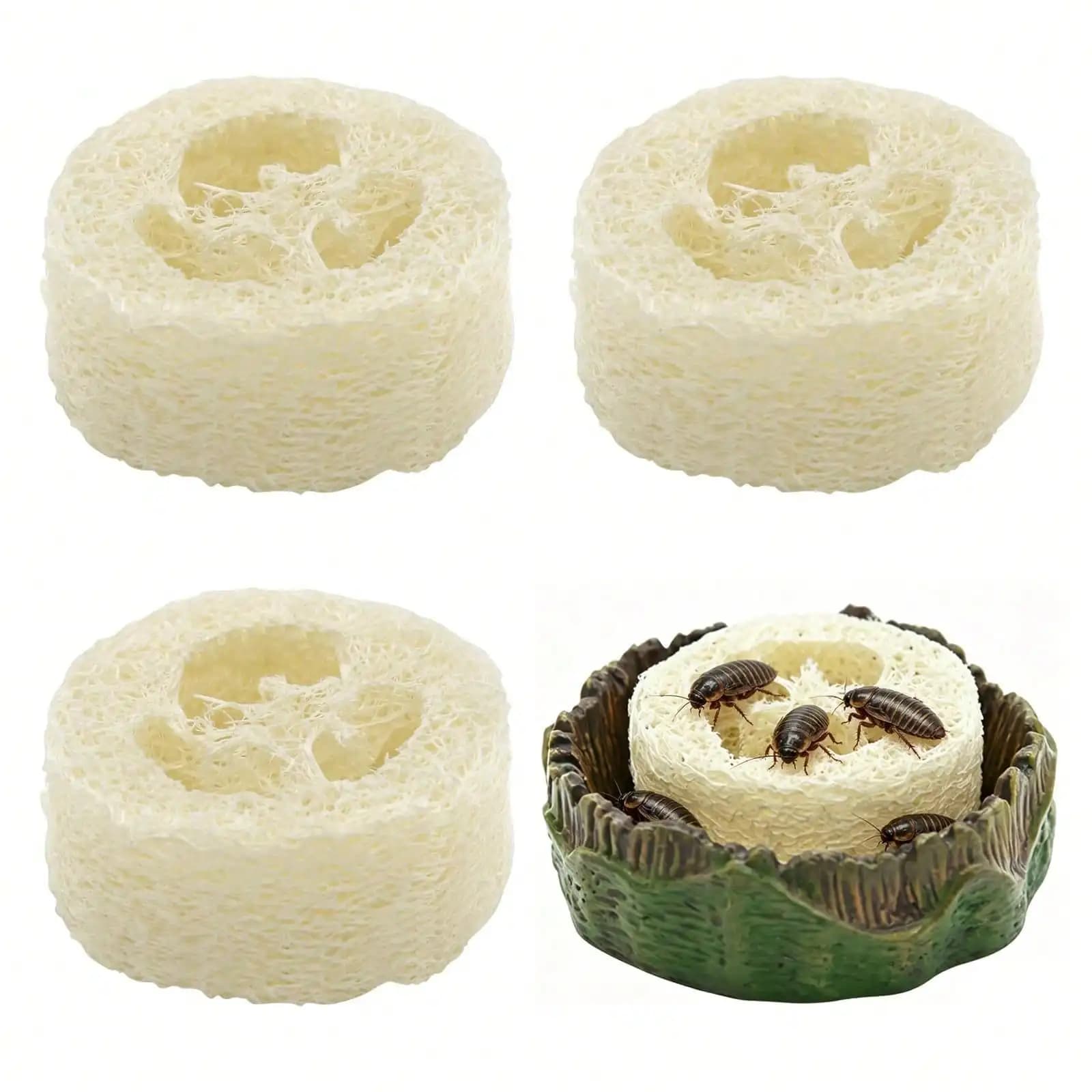 5 Pack Insect Waterer for Terrarium, Anti-Drowning Hydration Pad for Crickets, Dubia Roaches, Spiders & Tarantulas, Loofah Fiber