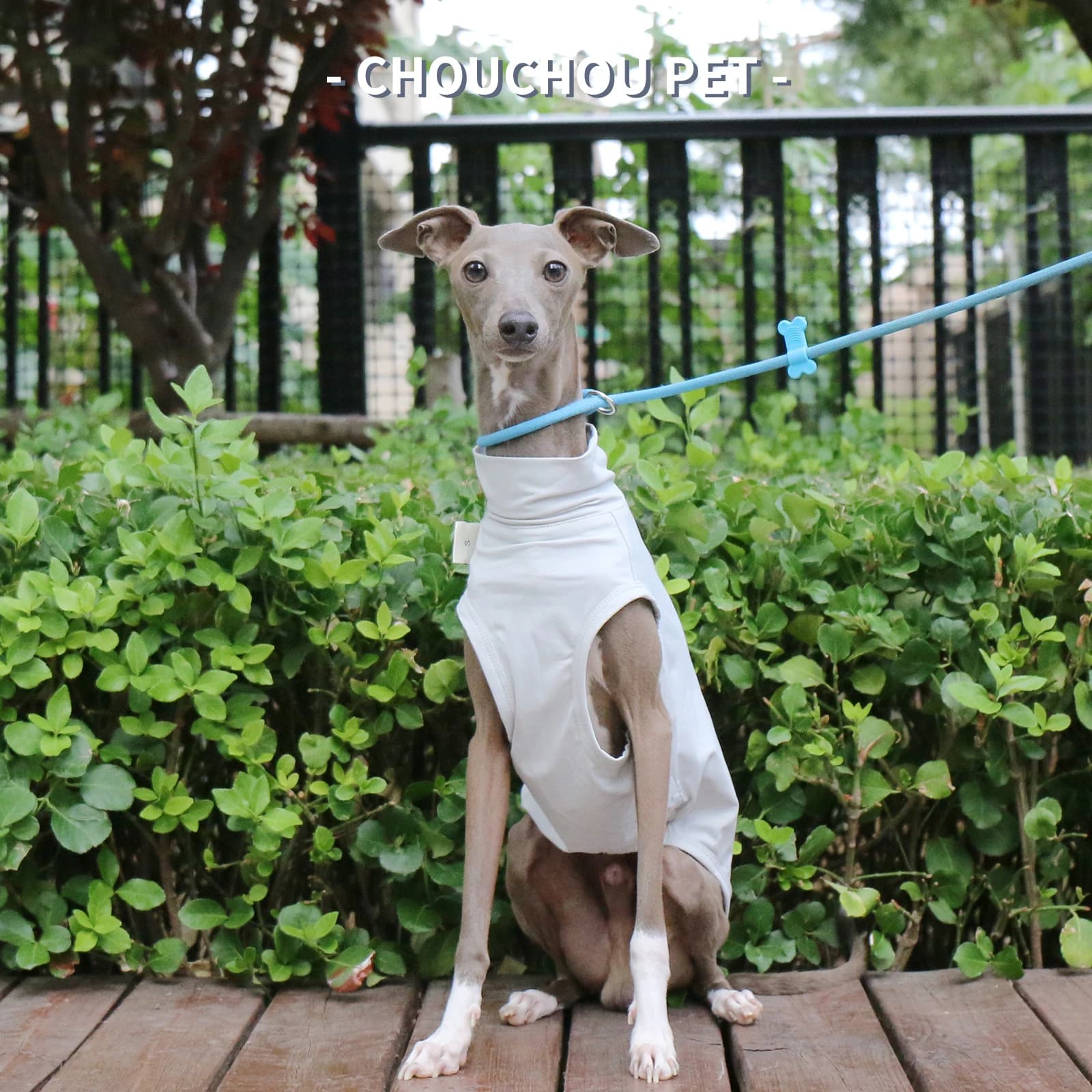 Protezione solare estiva sensazione di ghiaccio Gilet da esterno Whippet levriero italiano adatto per vestiti per cani di piccola e media taglia