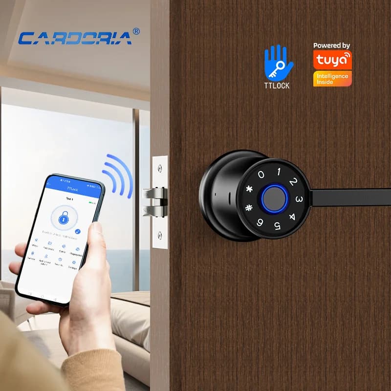 Serrature digitali elettriche Serratura con manopola rotonda per impronte digitali Tuya Smart Lock per porta in legno per appartamento Home Office