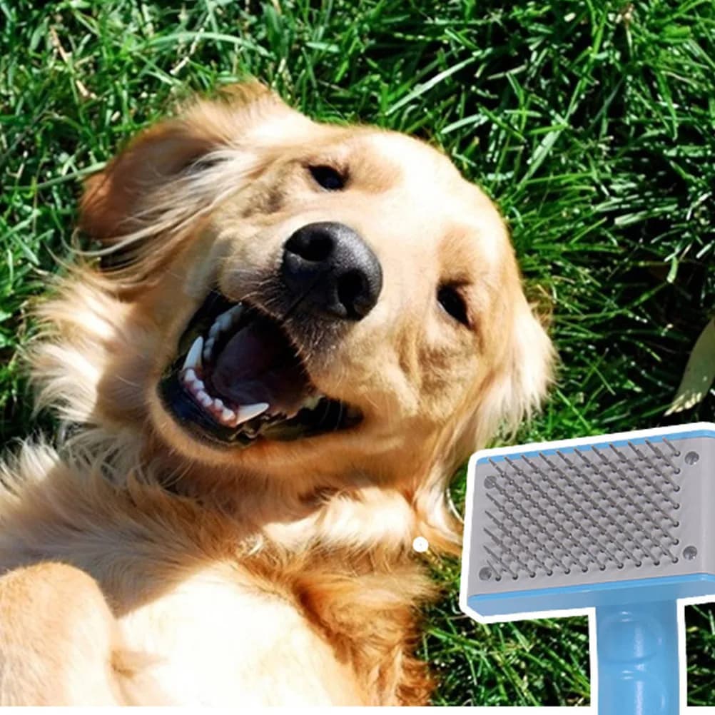 Spazzola districante per peli di animali domestici con denti a punta, manico ergonomico, strumento per la toelettatura di cani e gatti, rimuove peli sciolti e grovigli