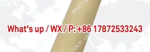 W123.213 230V 3300W WR2000 hot air heater ceramic heating core welding gun core
