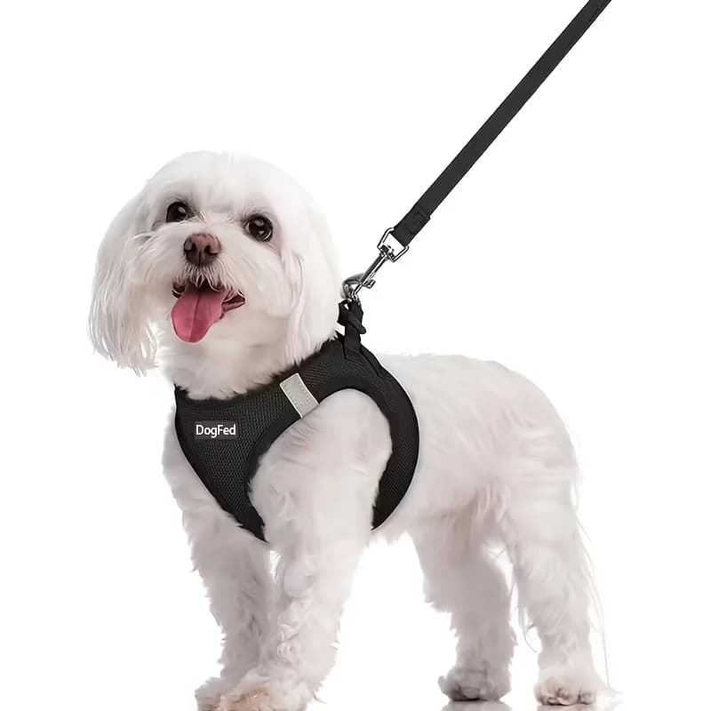 Set Guinzaglio e Pettorina per Cani in Rete Traspirante, Gilet Riflettente per Passeggiate, Accessori Leggeri per Animali Domestici per Tutte le Stagioni, Regalo