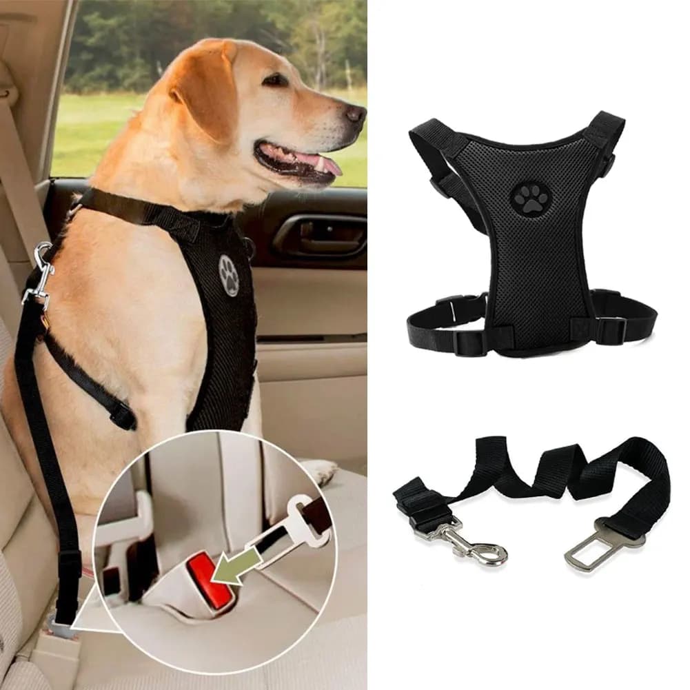 Guinzaglio per imbracatura per cani in rete traspirante da 1 pz con cinghie regolabili Imbracatura per animali domestici con cintura di sicurezza per seggiolino automobilistico per auto Cinghie per cani