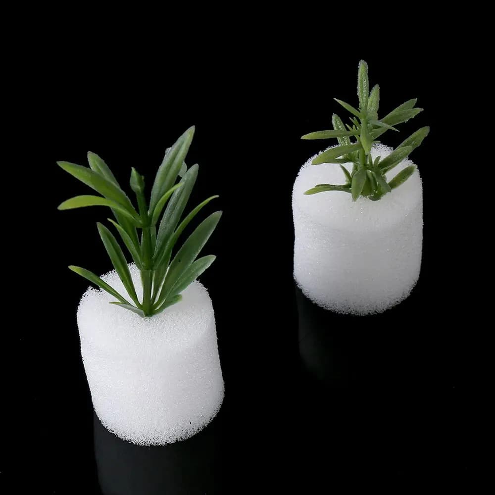 10/50 Durevoli Trays for Semina in Aquarius, Hydroponic Vases Without Land, Sponges for Vivaio