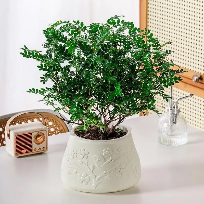 Mini vaso da fiori con irrigazione automatica acquario vasi da fiori in plastica trasparente fioriera con irrigazione automatica vaso per la decorazione domestica
