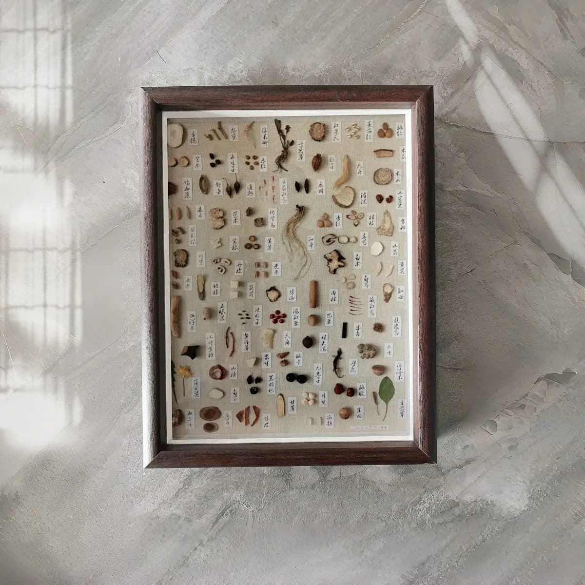 Walnut Colored Wooden 3D Hollow Picture Frame Display Stand Dried Flower Plant Fruit Herbal Medicine Specimen Frame Artwork F...