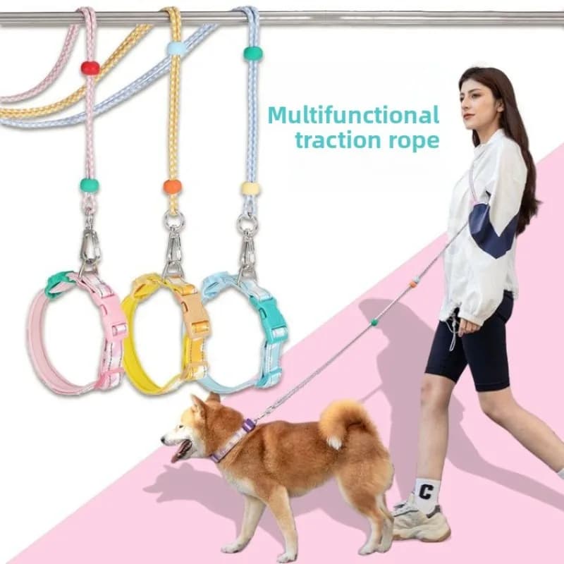 Guinzaglio Multifunzionale Colorato per Cani, Guinzaglio Intrecciato Resistente con Collare Abbinato, Design Anti-attorcigliamento, Adatto per Passeggiate Quotidiane