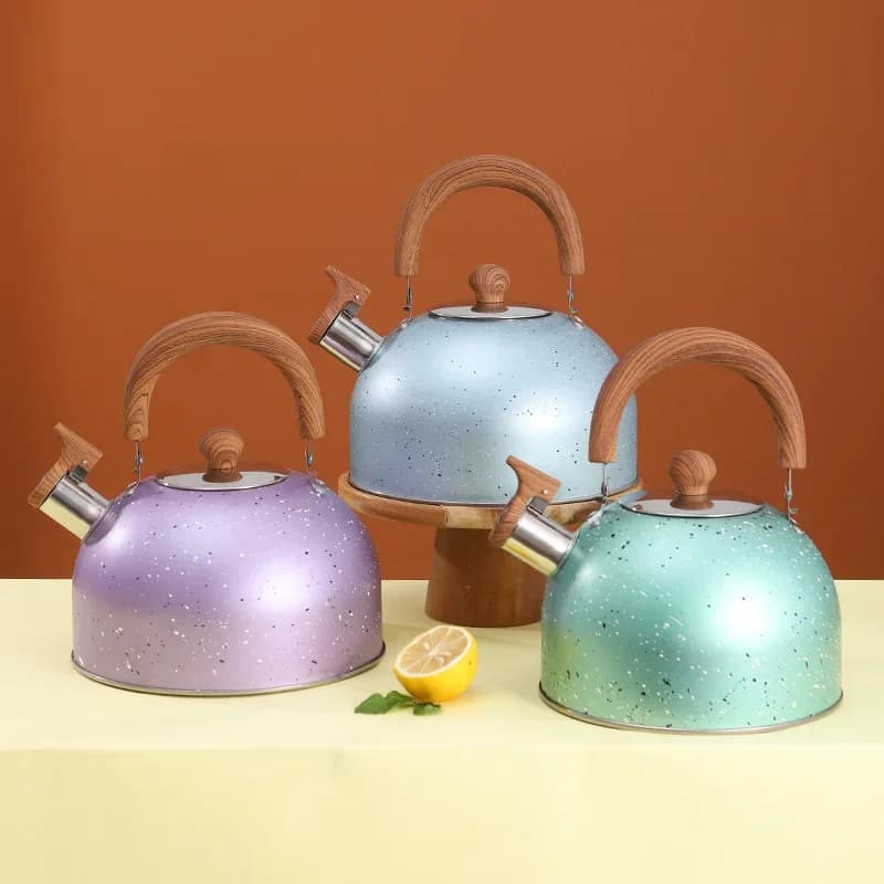 201 stainless steel gas cooker for hot water beautiful appearance camping teapot to boil water kettle 2/3/4L with whistle