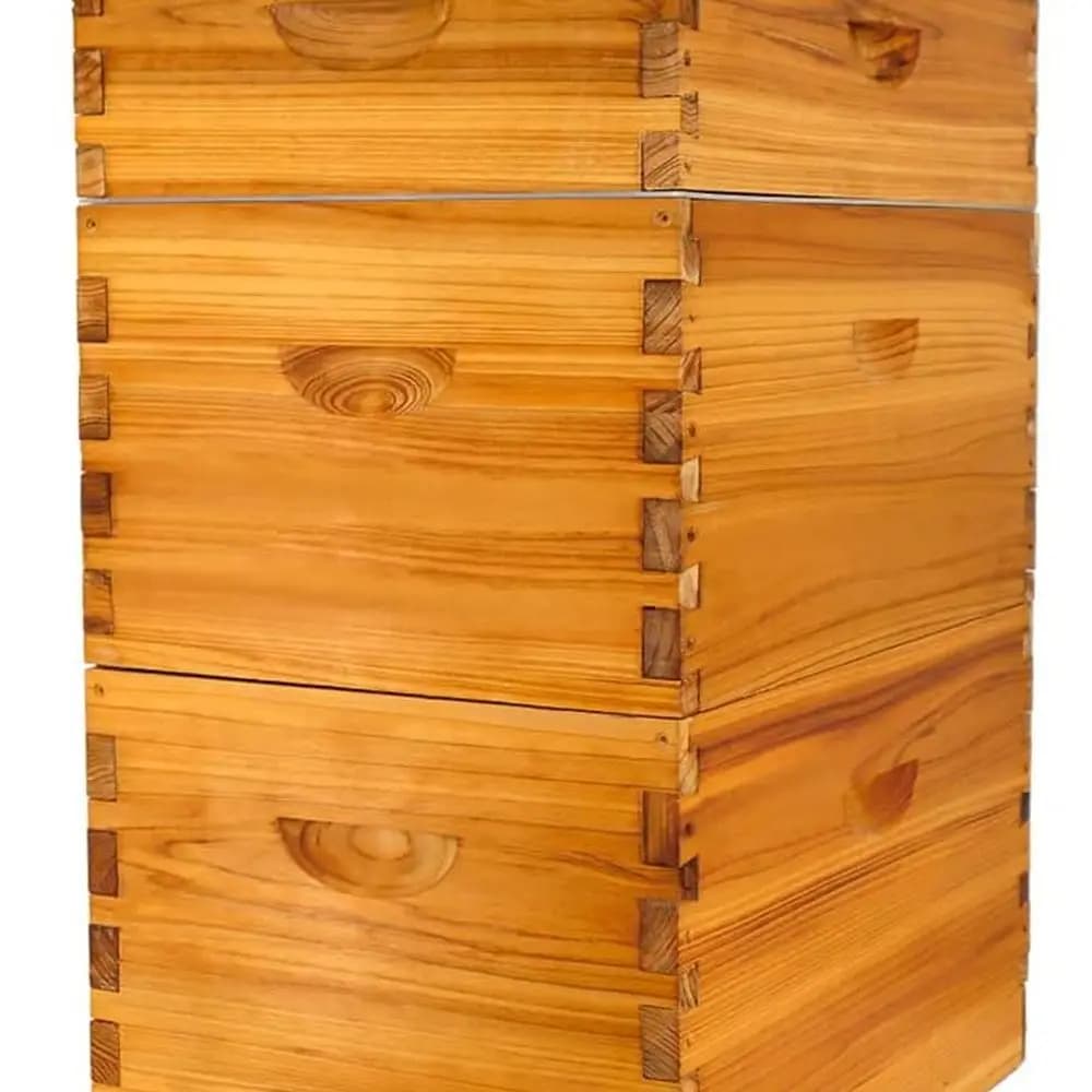 Starting kit for beekeeping: 8-mounted Langstroth colmena with waxed foundations and cistern boxes