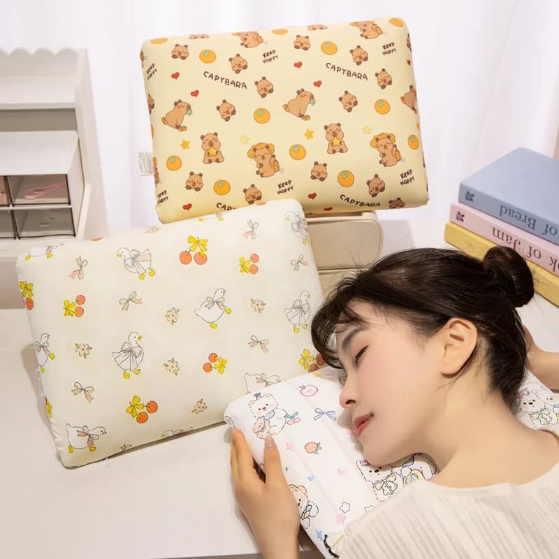 Square Printed Ice Silk Nap Pillow Capybara Avocado Apple Duck Dachshund Throw Pillow Summer Cool Cushion Comfortable Gifts