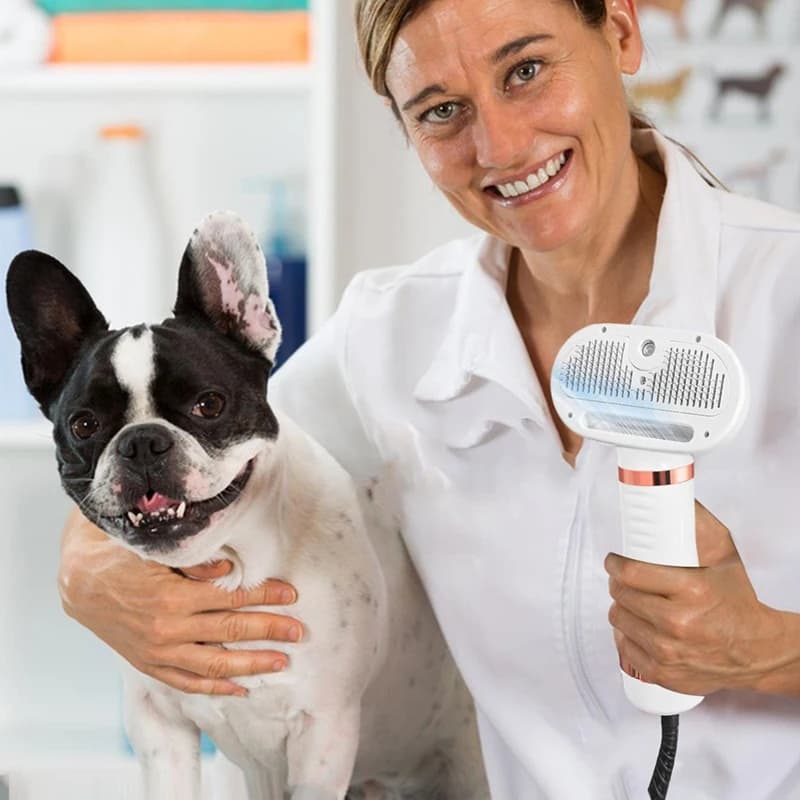 Asciugacapelli per animali domestici Toelettatura per gatti e cani Spazzola professionale per toelettatura domestica Asciugatura pelosa Ventilatore portatile per salone di cani US Plug-A27R