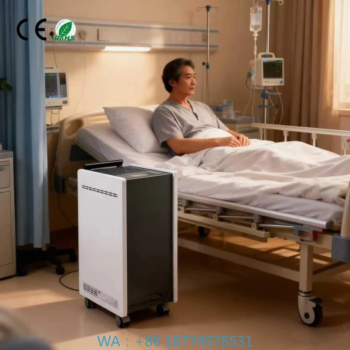 per Bar Cucina Estrattore Sigaro Fumi di Sigaretta Purificatore d'Aria Commerciale Portatile di Grado Medico con Plasma Elettrostatico